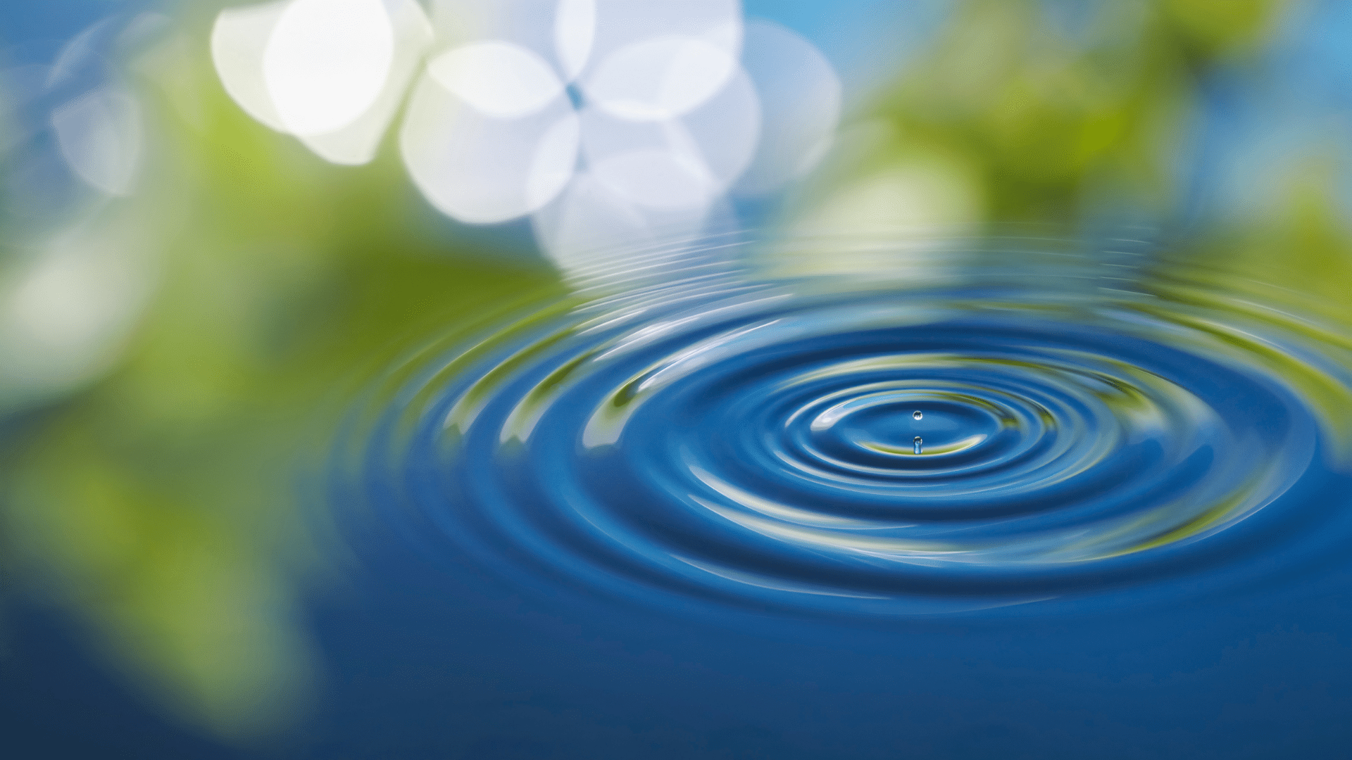 Gestion intelligente de l'eau